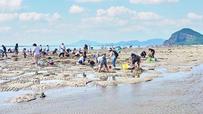 🏖️ 아리아케하마 해수욕장(아리아케하마 카이스이요쿠조) 이미지 2